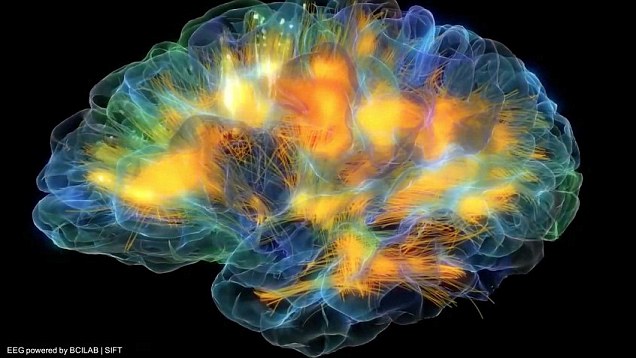Neurons firing off in real-time. From 'The dynamic mind: Stunning 3D 'glass brain' (Daily Mail) 